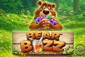 Playtech : Bear Buzz - TROPICANA77